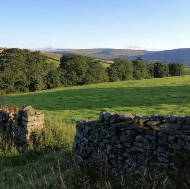 a field in the Yorkshire Dales